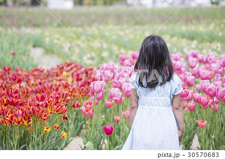 女の子 子供 花畑 後姿の写真素材 Pixta