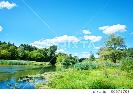 川のある風景 川のある風景（磐井川）｜taka