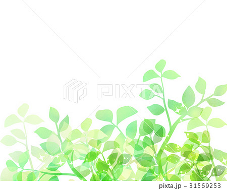 木漏れ日 背景素材 新緑 葉のイラスト素材