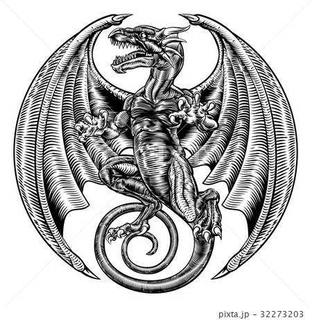 ドラゴン 竜 龍 刺青のイラスト素材