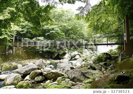 堂ヶ島の吊り橋の写真素材