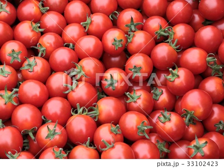 ミニトマト 食べ物 一面 沢山の写真素材 Pixta
