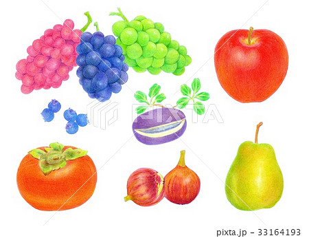 秋の果物のイラスト素材 Pixta