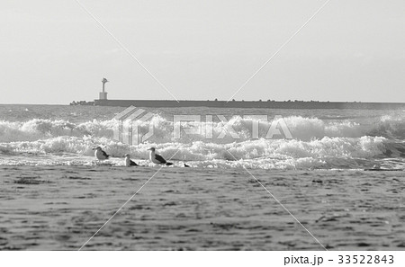 砂浜 朝 モノクロ 白黒の写真素材