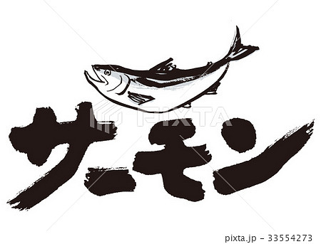 サーモン Salmon 筆文字 水彩画のイラスト素材 33554273 Pixta