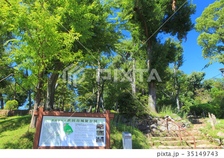 世田谷城阯公園の写真素材