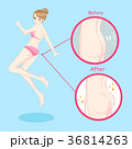 Different types of women ass vector illustration Stock Vector by ©DimaOris  321610228