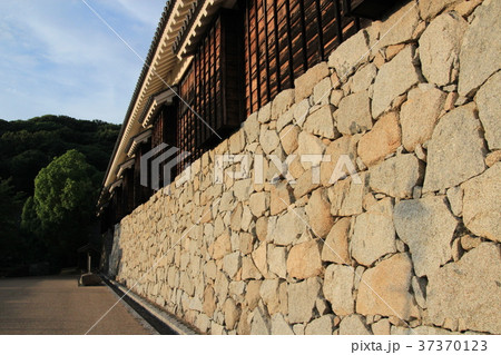 夕日 松山城 松山 松山市の写真素材 - PIXTA