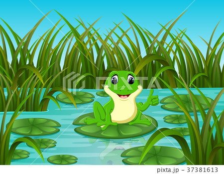 かえる カエル 蛙 池のイラスト素材 - PIXTA