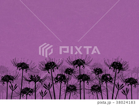 天界に咲く花の写真素材 - PIXTA