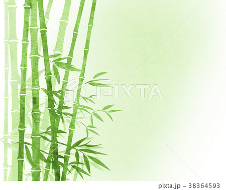 竹やぶのイラスト素材