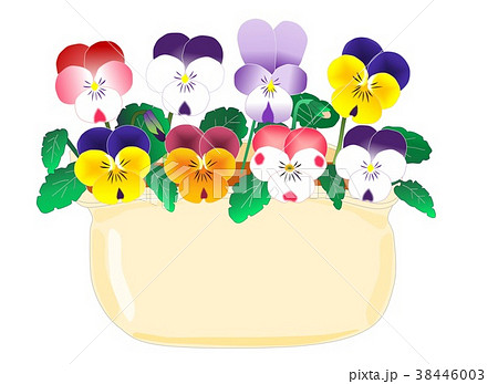 パンジー ビオラ 寄せ植え 花のイラスト素材