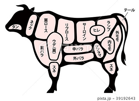 牛 牛肉 部位 図解のイラスト素材
