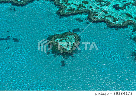 ハートリーフ ハミルトン島 珊瑚 オーストラリアの写真素材 ハートリーフ ハミルトン島 珊瑚 オーストラリアの写真素材