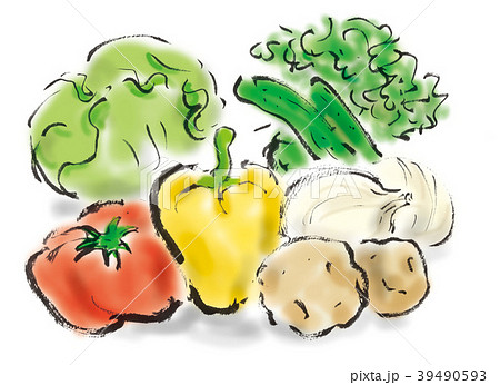 いろんな野菜のイラスト素材