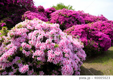 浅香山浄水場の写真素材