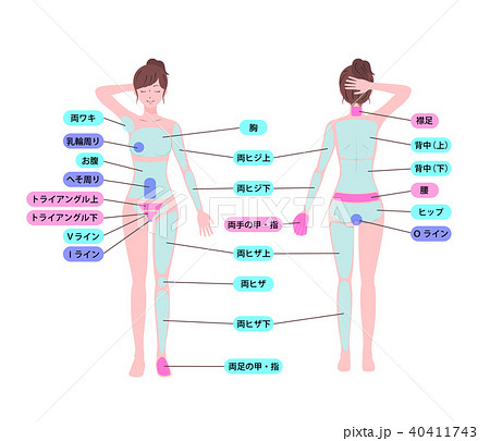 身体部位 女の写真素材