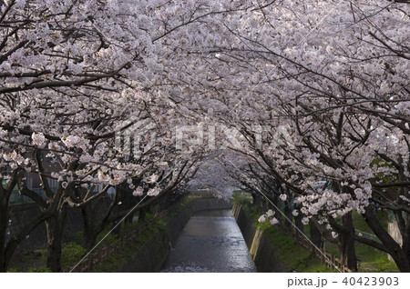 連歌橋の写真素材