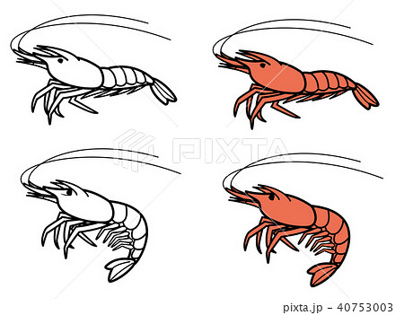 小エビのイラスト素材