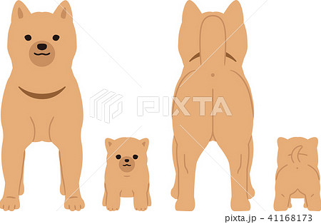 犬のしっぽのイラスト素材 Pixta