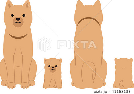 犬 前 後ろ 親子のイラスト素材