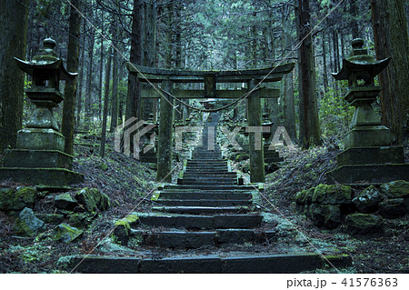 蛍火の杜への写真素材