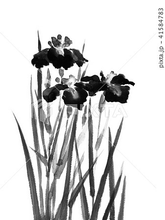 菖蒲　水彩画　原画 初めての人でも簡単に描けます💕【菖蒲しょうぶ】花・水彩画Even