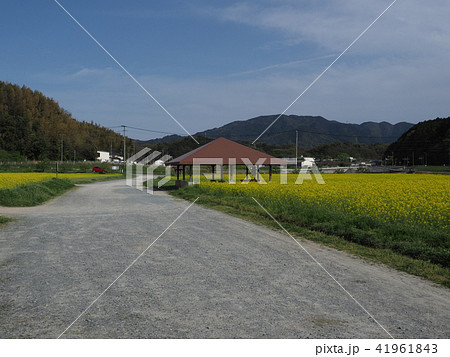 西郷川花園の写真素材