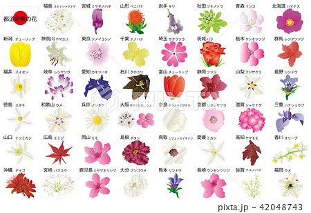 都道府県の花のイラスト素材 - PIXTA