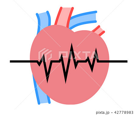 心臓 臓器 シンプル 心電図のイラスト素材