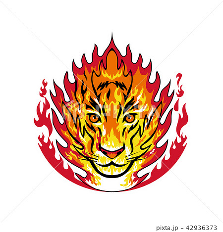 動物 ライオン 火 炎 イラストのイラスト素材
