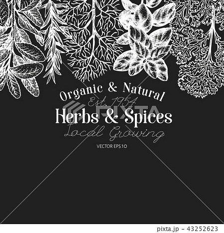 Culinary Herbs And Es Banner Template Vector Background For Culinary Herbs And Es Banner Template Vector Background For Design Menu Packaging Recipes Stock Ilration 43252623 Pixta