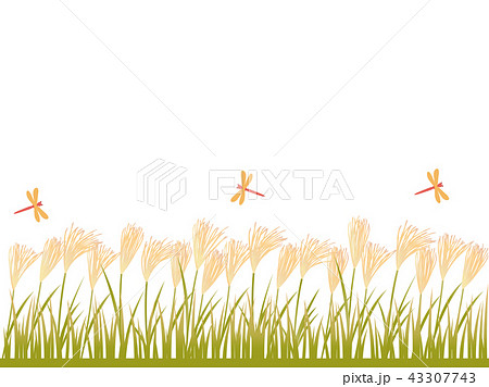 トンボ ススキ 初秋 芒のイラスト素材