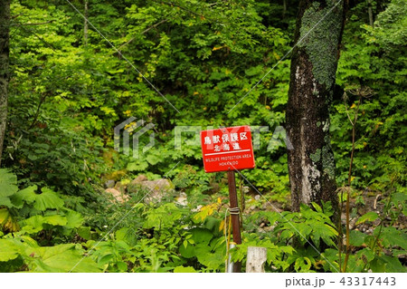 鳥獣保護区 看板 鳥獣保護区看板 北海道の写真素材 - PIXTA