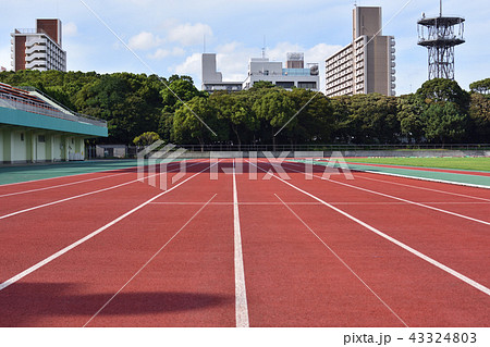 大井ふ頭中央海浜公園スポーツの森陸上競技場の写真素材