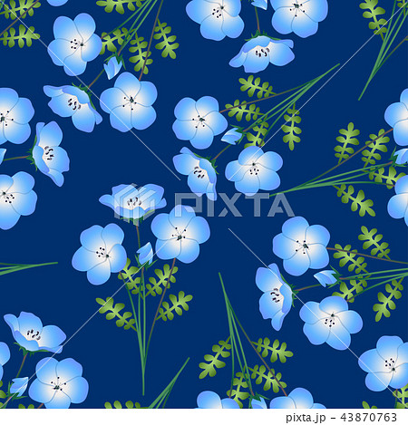 ネモフィラ 花 壁紙 ブルーの写真素材 Pixta