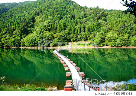 留浦 うずら 浮橋 浮き橋の写真素材