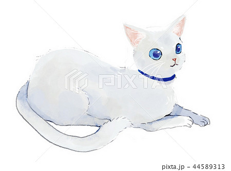 猫 水彩 白猫 可愛いのイラスト素材