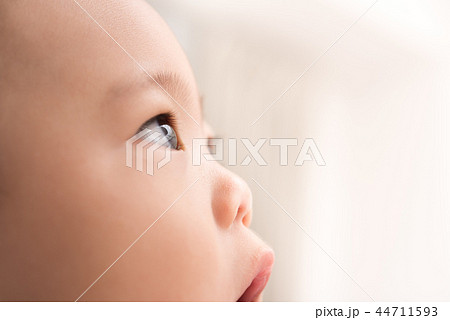 幼児 子供 眼差し 横顔の写真素材