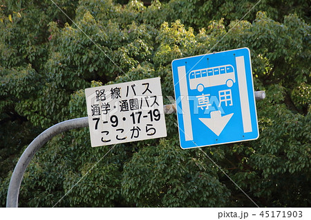 専用通行帯 道路標識 路線バス 通学 通園バスの写真素材