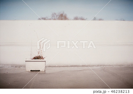 屋上 背景の写真素材