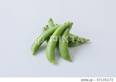 スナップえんどうの写真素材