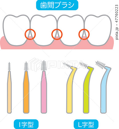 歯の隙間のイラスト素材