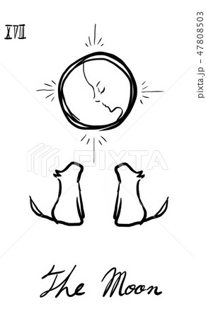 月 タロットカード イラスト 犬 占いのイラスト素材