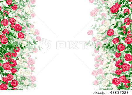 バラ 薔薇 のイラスト素材集 Pixta ピクスタ