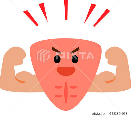 力こぶ 笑顔のイラスト素材