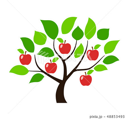 木 植物 リンゴ 成長のイラスト素材