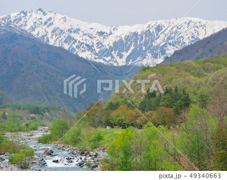 白馬村の春【白馬岳、新緑、清流】