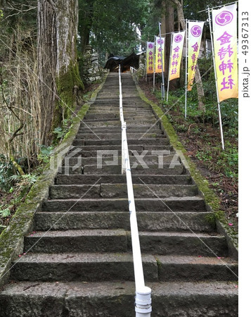 金持 神社 階段の写真素材