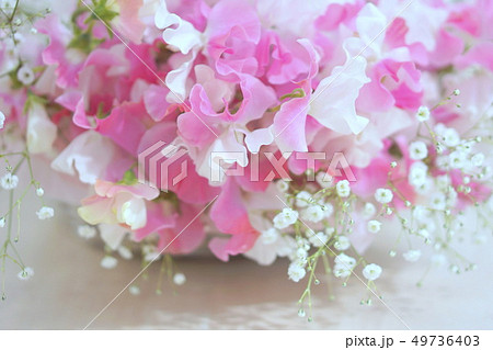 スイトピー 花 かすみ草 フラワーアレンジメントの写真素材 Pixta